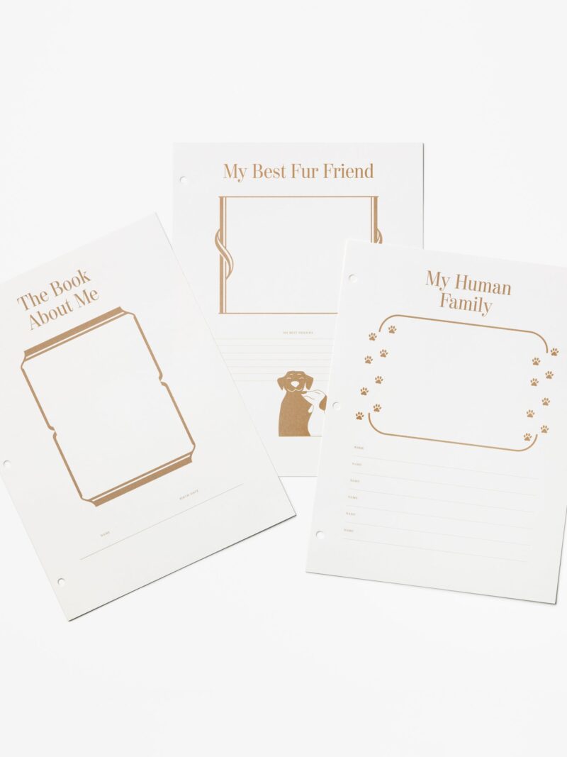 A Dog's Life Photo Album Paper, 10 Pages