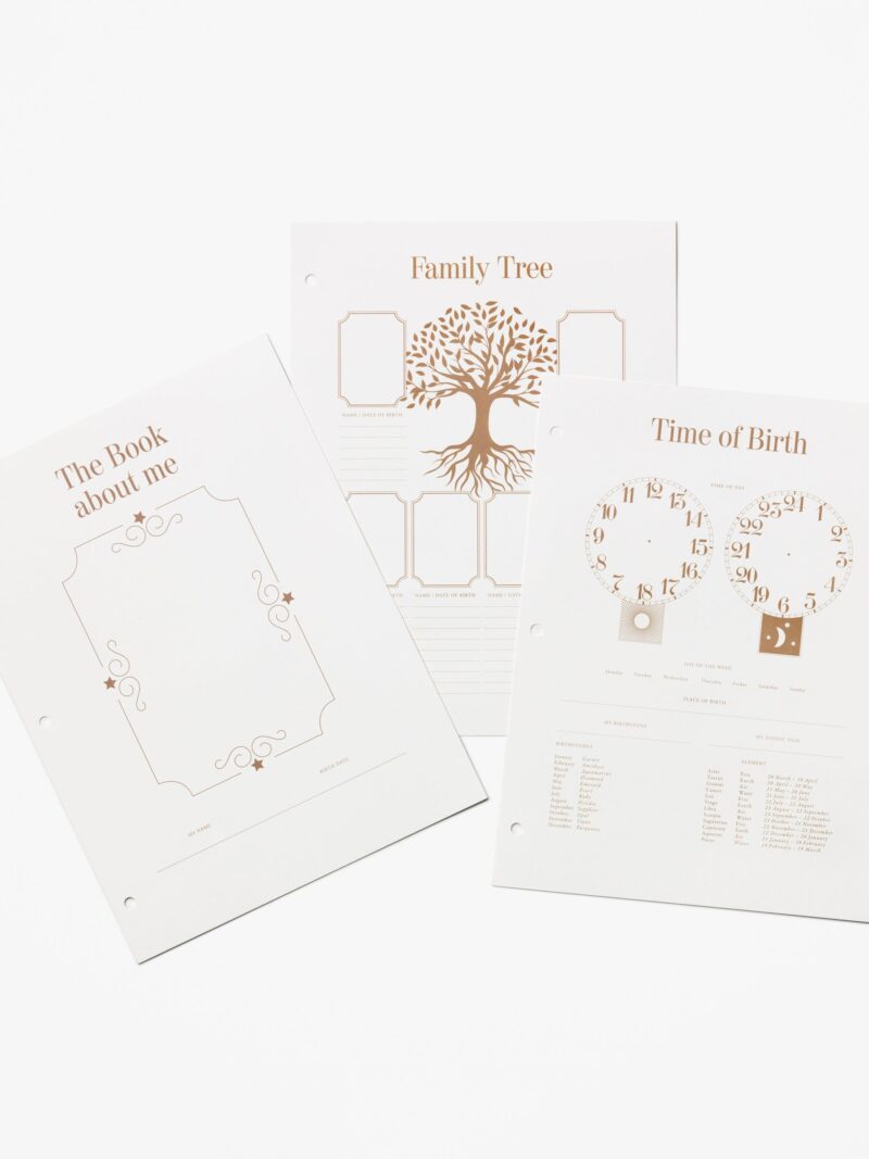 My First Year Baby Photo Album Paper, 10 Pages
